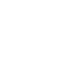 專業